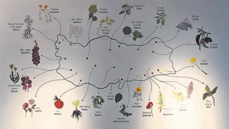 Ne ararsan Anadolu’da var – Cumartesi Sabah Haberleri
