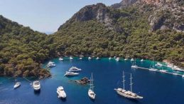Göcek’te kaplumbağalar için müzik yasağı!