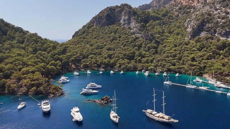 Göcek’te kaplumbağalar için müzik yasağı!