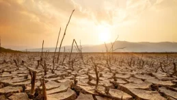 Türkiye için alarm! BM paylaştı: Yüzde 88’inde risk var