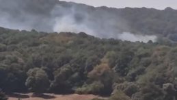 Sarıyer’de orman yangını çıktı