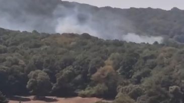 Sarıyer’de orman yangını çıktı